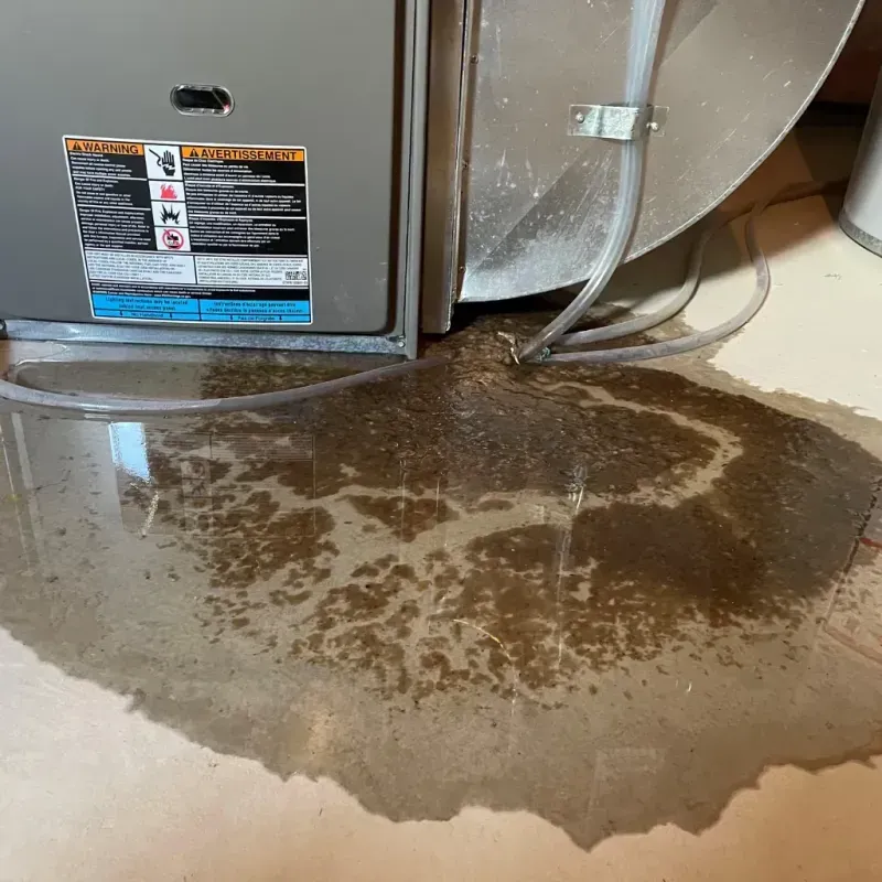 Appliance Leak Cleanup in Sumter County, AL